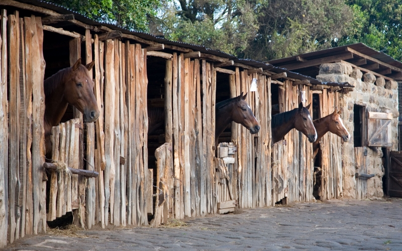 Deloraine House Stands Tall Near the Edge of the Great Rift Valley