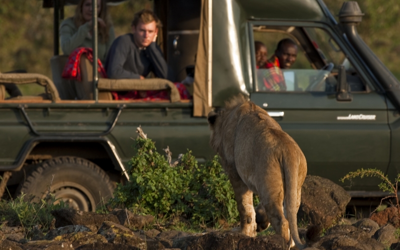 Offbeat Mara Camp Merges Glamour with Traditional Camping