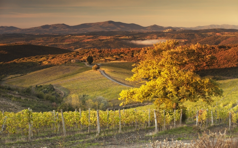 Castiglion del Bosco and the Magic of Tuscany