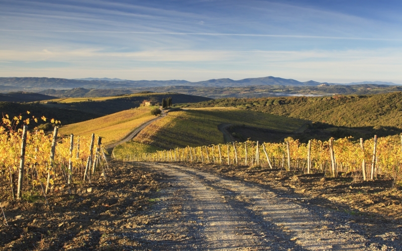 Savour the Tuscan Wine Region at Castiglion del Bosco