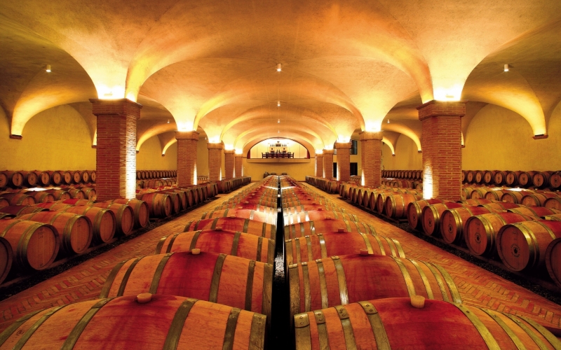 Savour the Tuscan Wine Region at Castiglion del Bosco