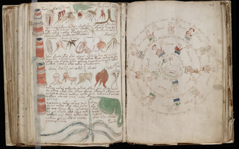 The Voynich Manuscript ... Fraught with Mystery and Ancient Lore