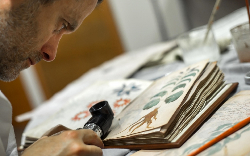 The Voynich Manuscript ... Fraught with Mystery and Ancient Lore
