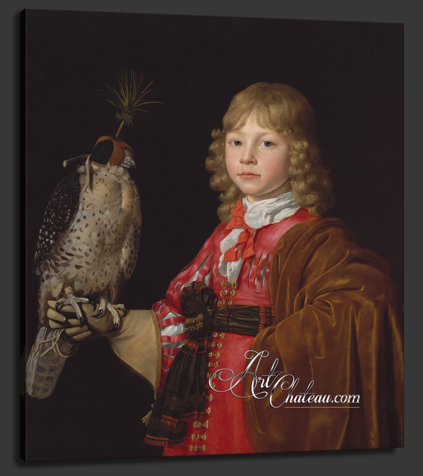 Portrait of a Boy with a Falcon, after Wallerant Vaillant