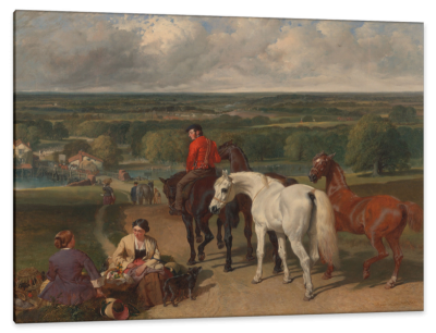 Exercising the Royal Horses, c.1855, Oil on Canvas