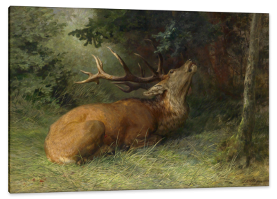 Stag Resting, c.1895, Oil on Canvas