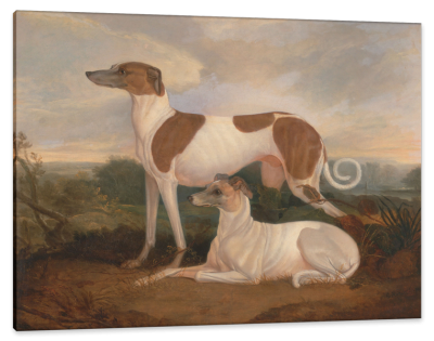 Two Greyhounds in a Landscape, c.1830, Oil on Canvas