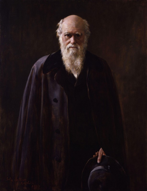 Charles Robert Darwin, c.1883, Oil on Canvas