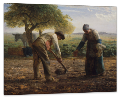 Potato Planters, c.1865, Oil on Canvas