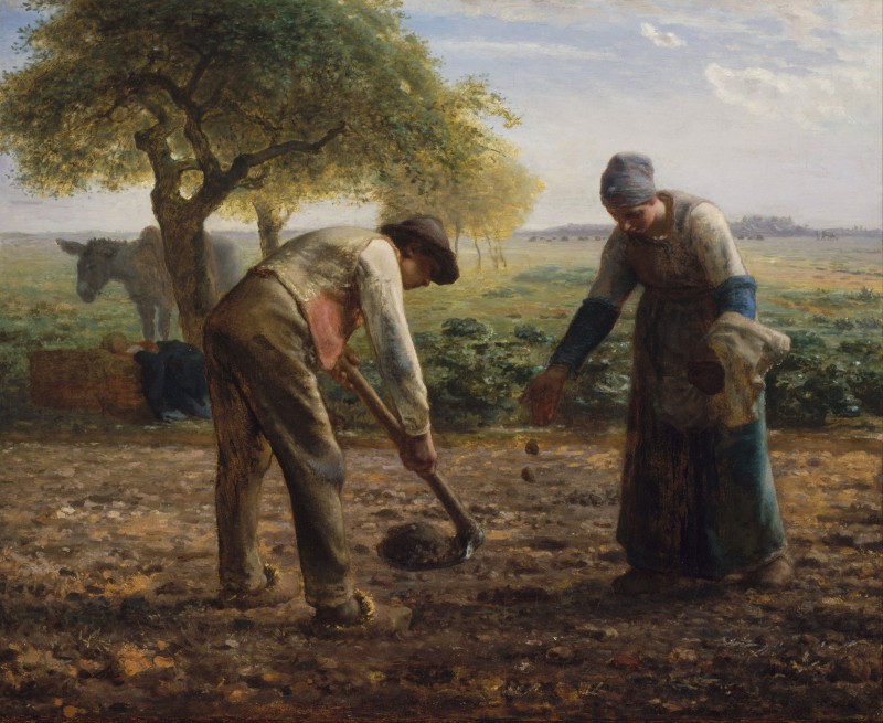 Potato Planters, c.1865, Oil on Canvas