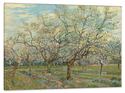 White Orchard, c.1888, Oil on Canvas