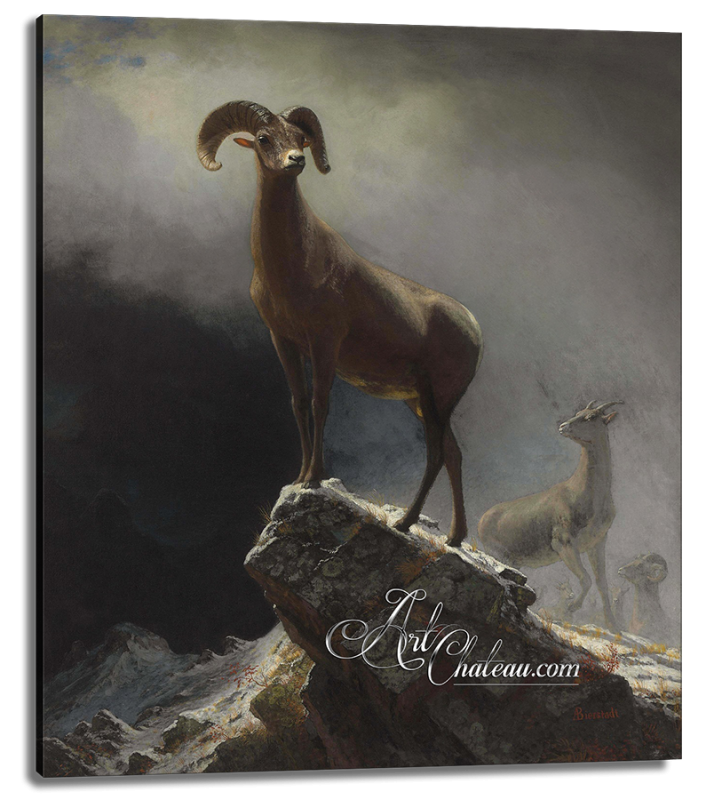 Big Horn Sheep, after Albert Bierstadt