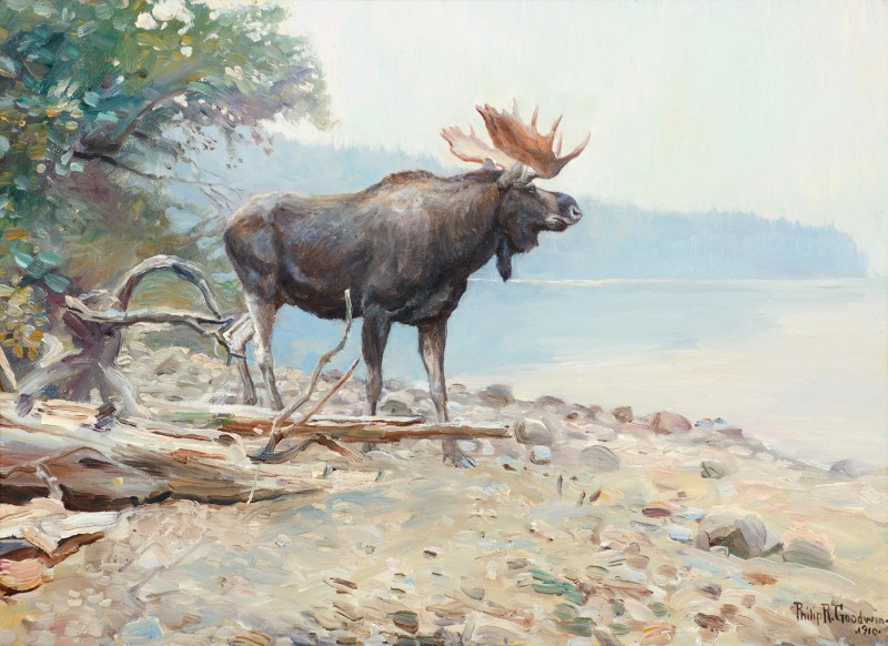 Moose at Lake McDonald, c.1910, Oil on Canvas