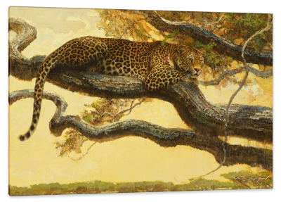The Leopard, c.1965, Oil on Canvas