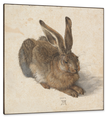 Black Forest Hare, c.1502, Pen and Brown Ink and Body Color