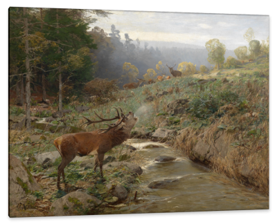 Call of a Red Deer, c.1899, Oil on Canvas