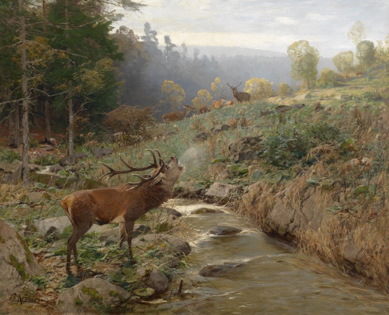 Call of a Red Deer, c.1899, Oil on Canvas