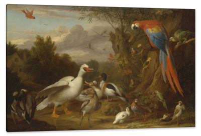 A Macaw, Ducks, Parrots and Other Birds in a Landscape, c.1710, Oil on Canvas