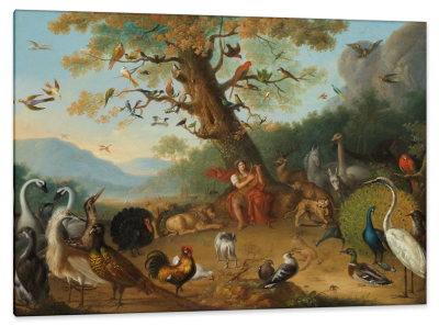 Orpheus Enchanting the Animals, c.1750, Oil on Canvas
