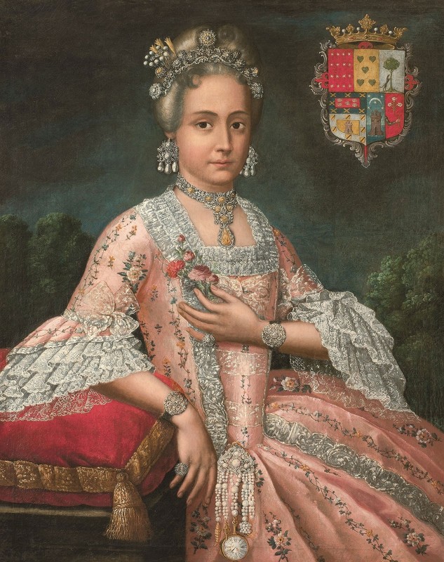 Rosa de Salazar y Gabino, Countess of Monteblanco and Montemar, c.1771, Oil on Canvas