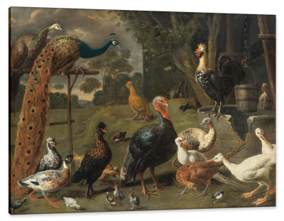 Peacock, Turkeys and Peahen on a Perch, c.1638, Oil on Canvas
