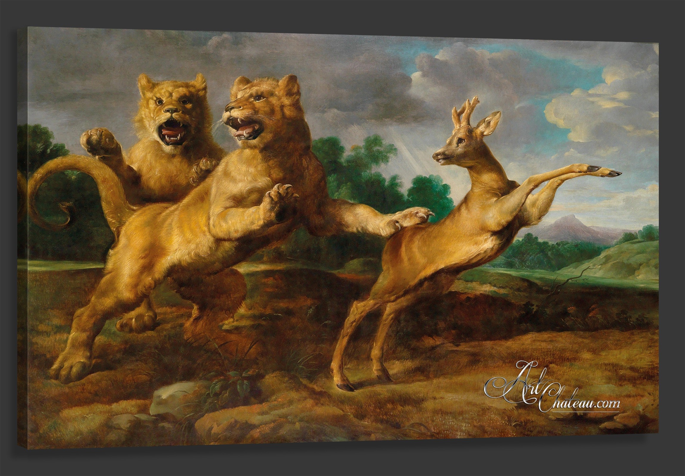 Two Lionesses Hunting a Roebuck, after Frans Snyders